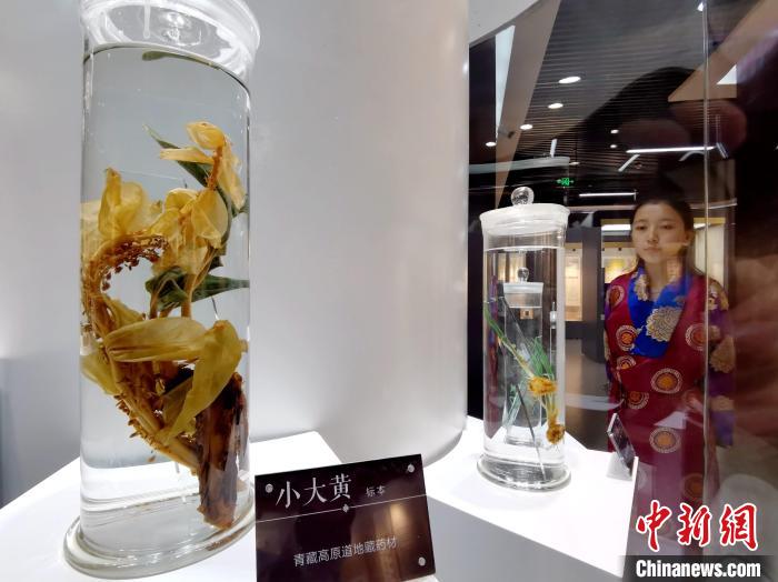 青海中藏醫(yī)藥發(fā)展提速：建設(shè)一批重點(diǎn)?？茖W(xué)科，推廣一批適宜技術(shù)