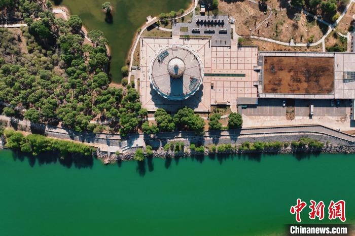 航拍青海貴德黃河岸畔綠意濃濃?！≮w凜松 攝