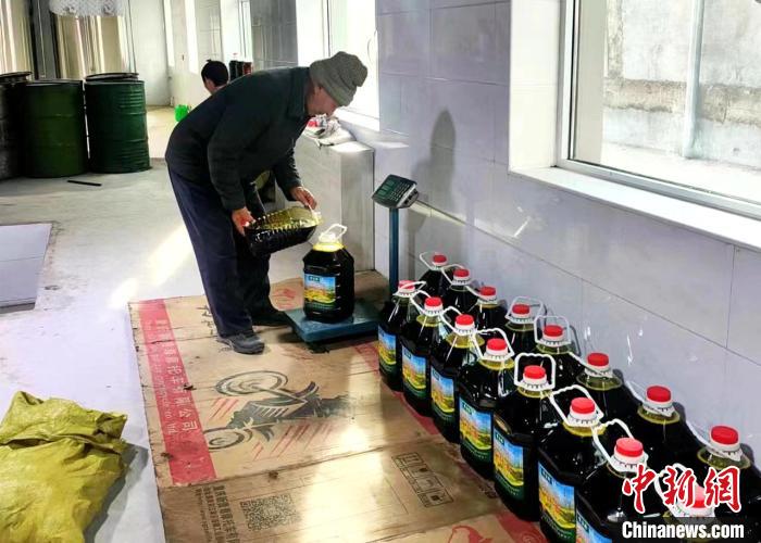 圖為高原油菜籽榨出的菜籽油?！埖么?攝