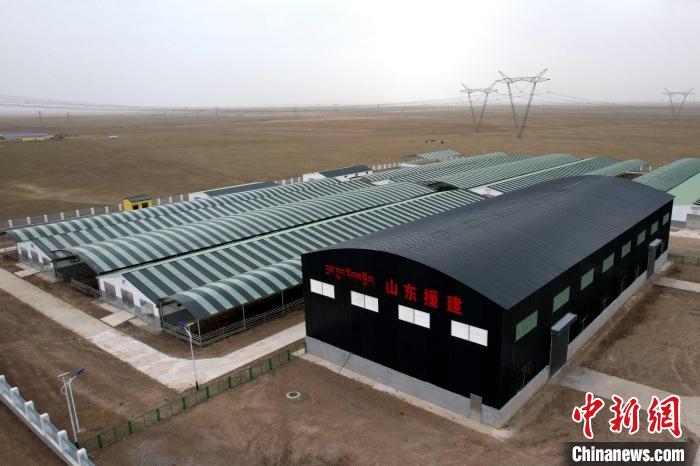 圖為航拍生態(tài)畜牧業(yè)集中規(guī)?；B(yǎng)殖基地?！〔讨绢?攝