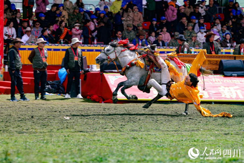 馬術(shù)表演現(xiàn)場(chǎng)。洛絨尼瑪攝