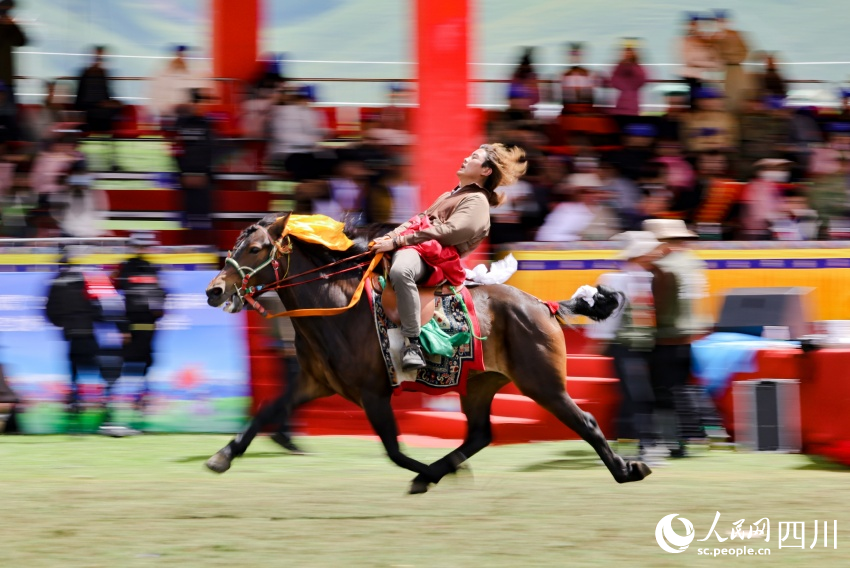 馬術(shù)表演現(xiàn)場(chǎng)。洛絨尼瑪攝