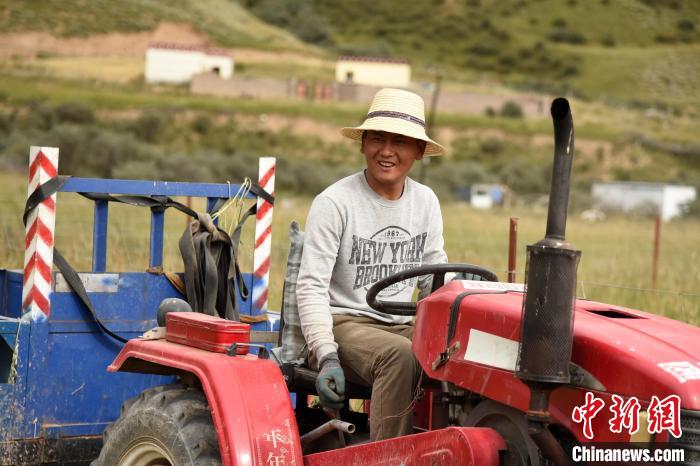 青海囊謙：喜迎秋收，又是一年“豐”景