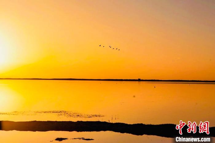 高原“藍(lán)寶石”:晚春喚醒的醉人畫卷