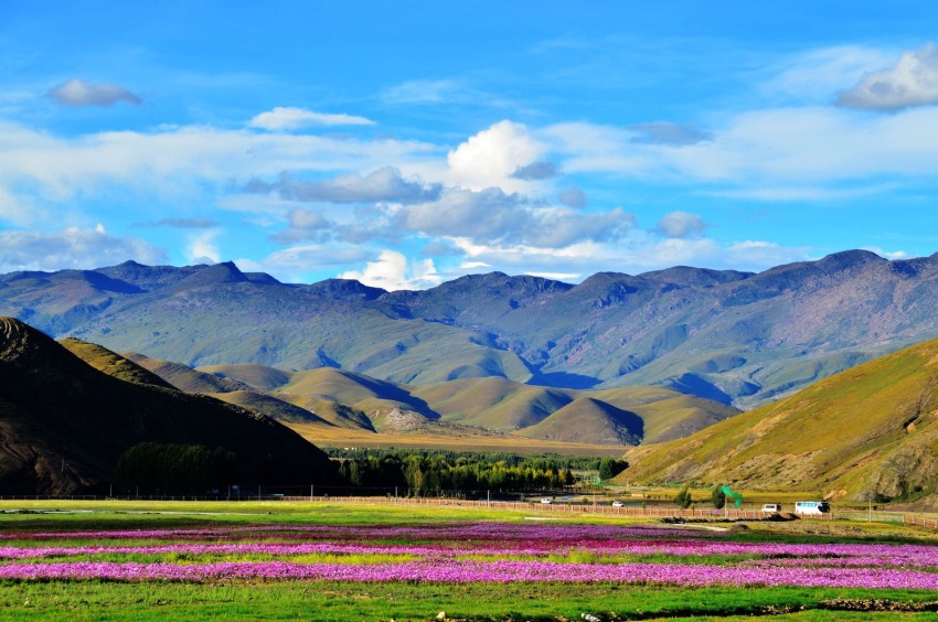 稻城風(fēng)光。稻城縣委宣傳部供圖