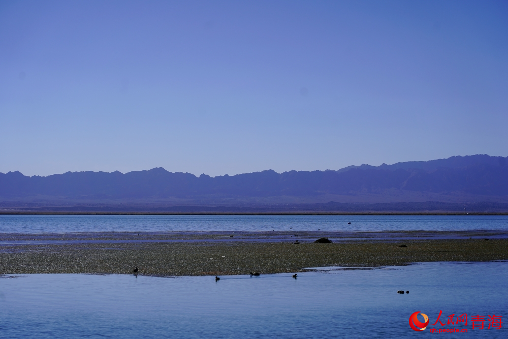 安靜的可魯克湖。人民網(wǎng) 陳明菊攝