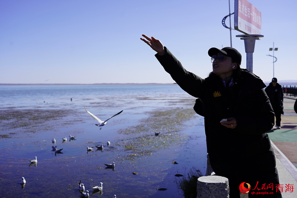 游客投喂水鳥。人民網(wǎng) 陳明菊攝