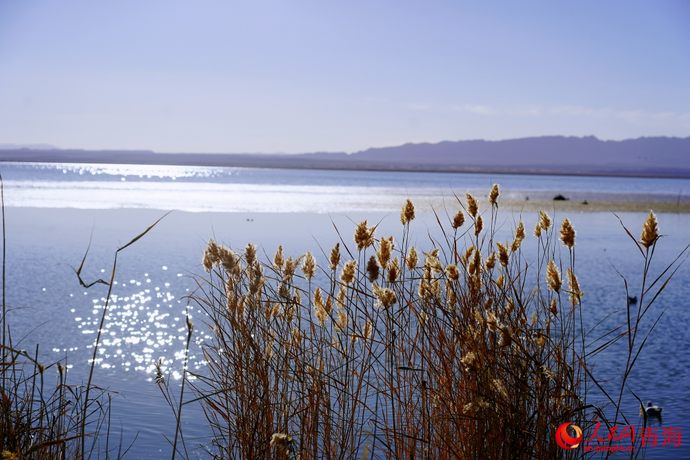 可魯克湖秋色如畫。人民網(wǎng) 陳明菊攝