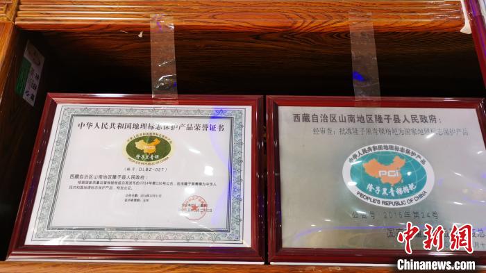 圖為2015年，隆子黑青稞成為中國(guó)國(guó)家地理標(biāo)志保護(hù)產(chǎn)品?！垈?攝