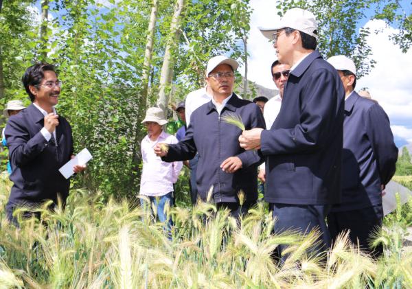 全國表彰大會上，為什么只有他沒到？