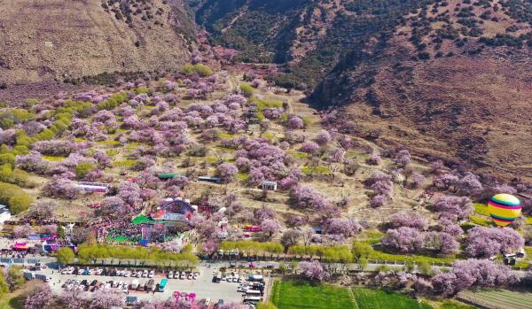 世外桃源！一組圖告訴你，西藏林芝桃花能有多美