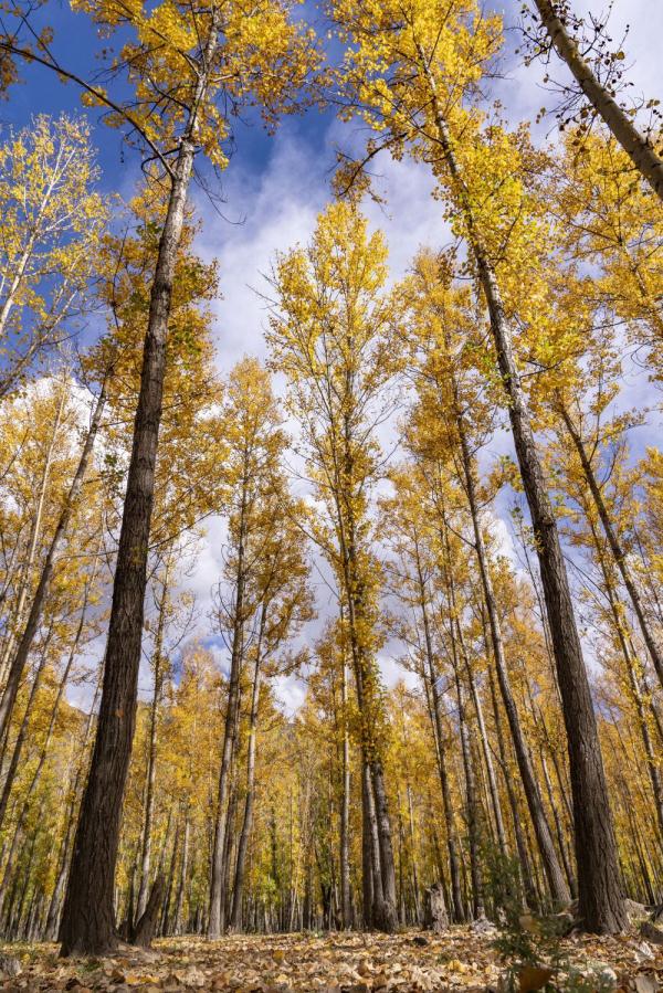 跟我，踏上最美“景觀大道”