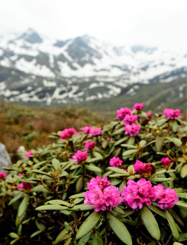 跟我，踏上最美“景觀大道”