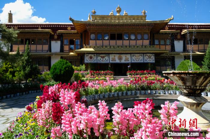 圖為夏日羅布林卡(資料圖)。趙朗攝