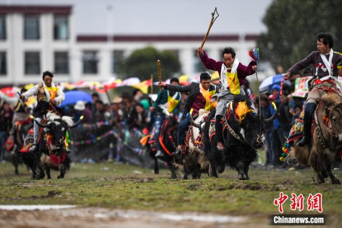 圖為拉薩郊縣的賽馬節(jié)(資料圖)。何蓬磊 攝