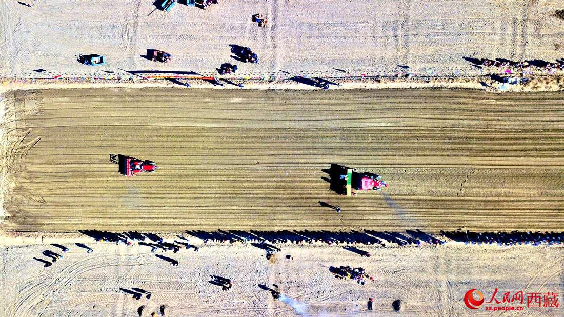 山南市扎囊縣扎其鄉(xiāng)孟卡榮村迎來春耕第一犁。人民網(wǎng) 次仁羅布攝