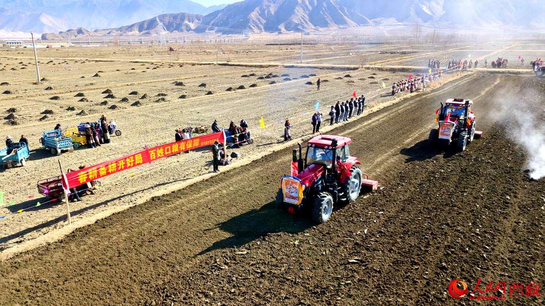 山南市扎囊縣扎其鄉(xiāng)孟卡榮村迎來春耕第一犁。人民網(wǎng) 次仁羅布攝