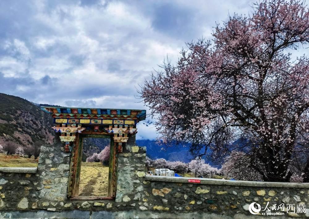 桃花下的藏式民居。人民網(wǎng) 李海霞攝