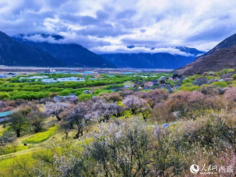 桃花從中的“童話小鎮(zhèn)”。人民網(wǎng) 李海霞攝