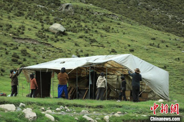 圖為牧民們在秋季牧場搭建帳篷。　洛克 攝
