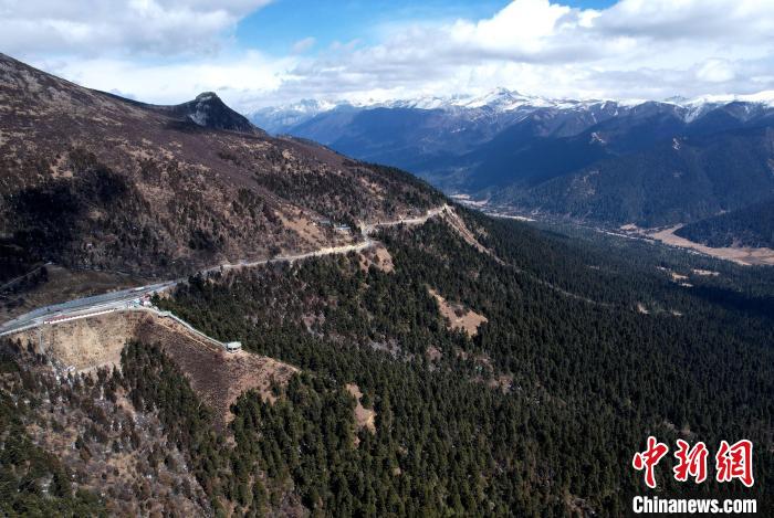 2月17日，西藏林芝魯朗林海。(無人機照片) 李林 攝