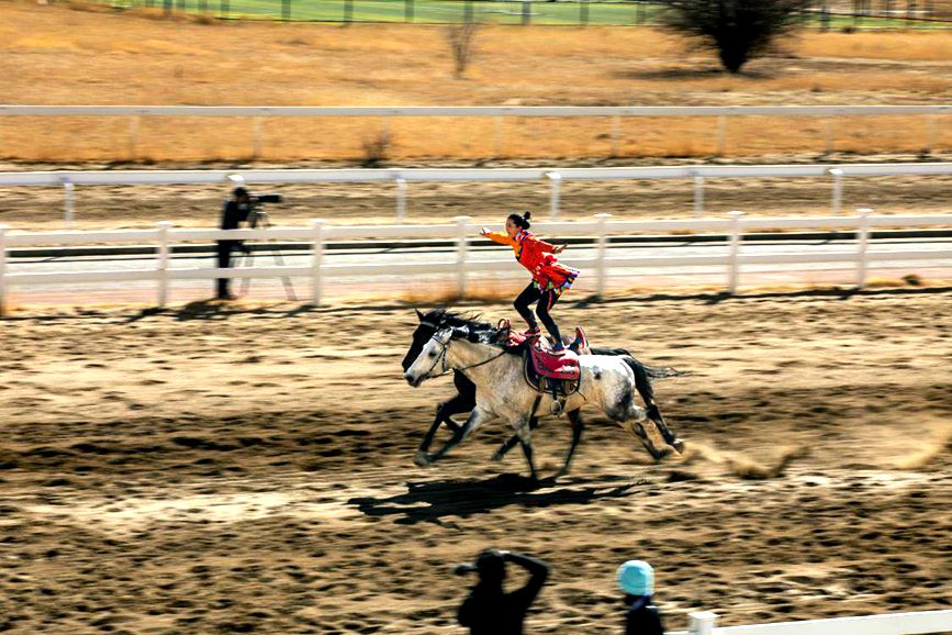 藏歷新年，精彩的馬術表演。張靜攝