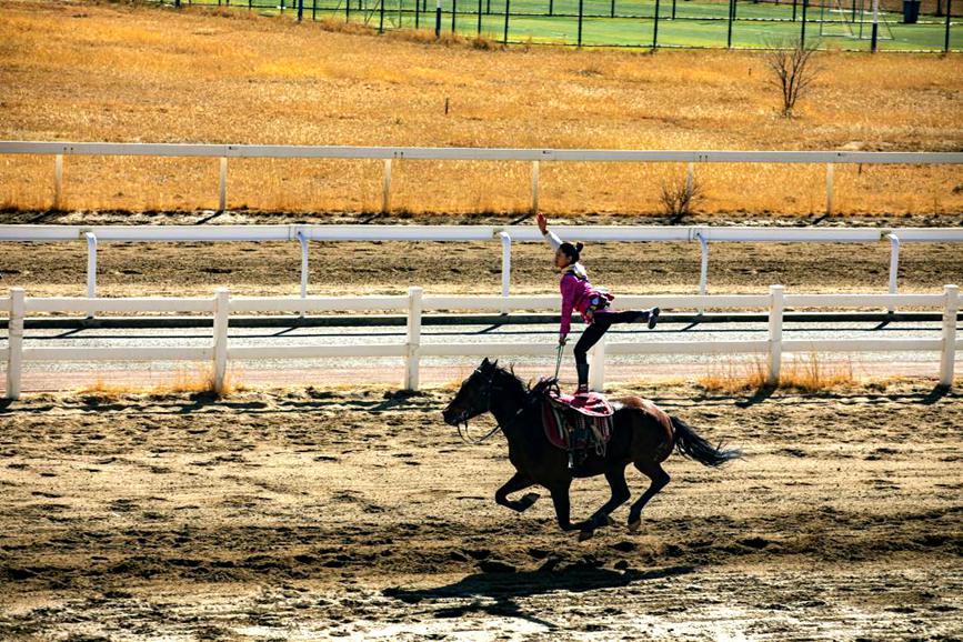 藏歷新年，精彩的馬術表演。張靜攝