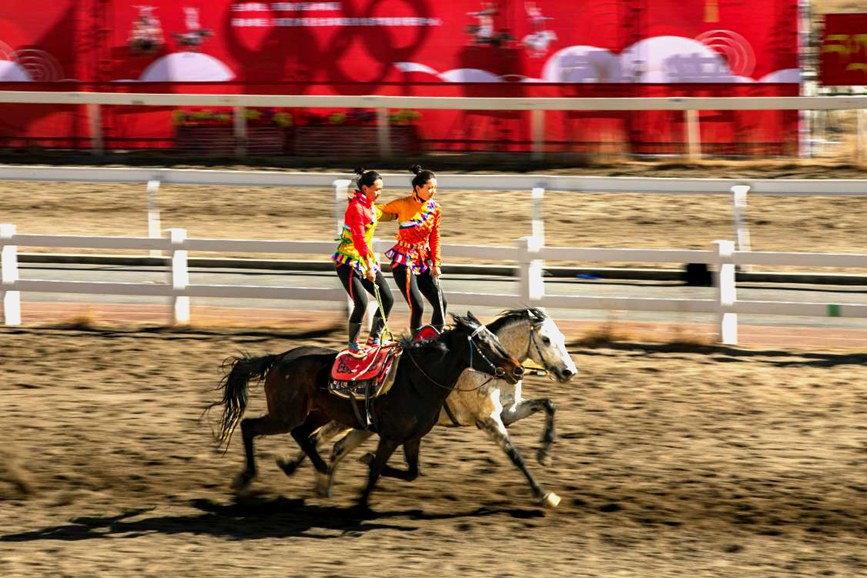 藏歷新年，精彩的馬術表演。張靜攝