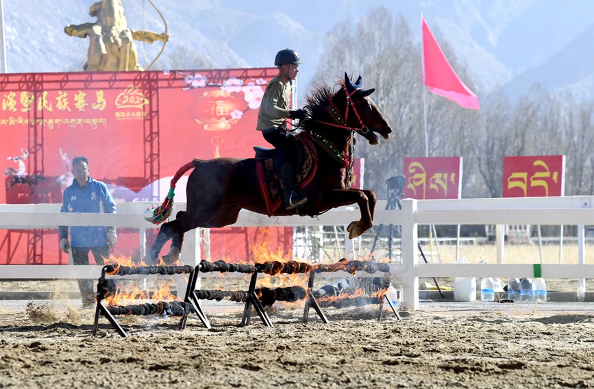 藏歷新年，精彩的馬術表演。潘多攝
