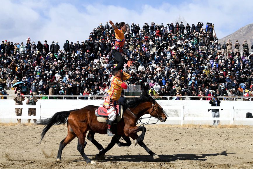 藏歷新年，精彩的馬術表演。潘多攝