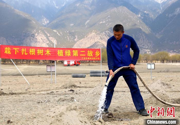 林芝市巴宜區(qū)森林消防中隊(duì)志愿服務(wù)隊(duì)澆水灌溉?！∥骼@拉翁 攝
