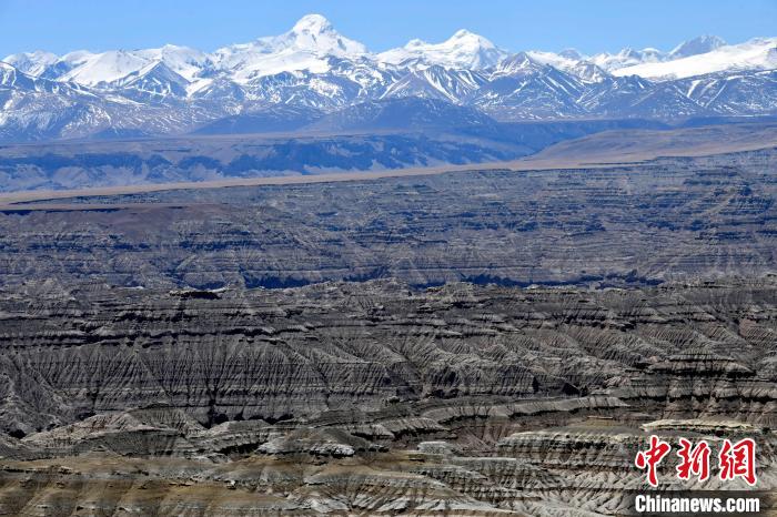 4月5日，西藏阿里札達(dá)土林?！±盍?攝