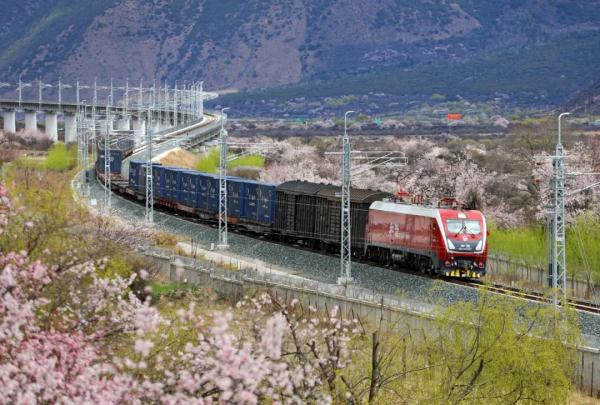 人間桃花源！林芝桃花有多絕？