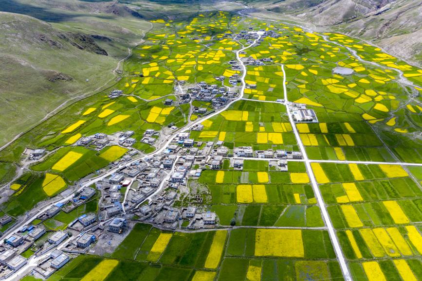 航拍道布龍村，依山傍水，阡陌縱橫。