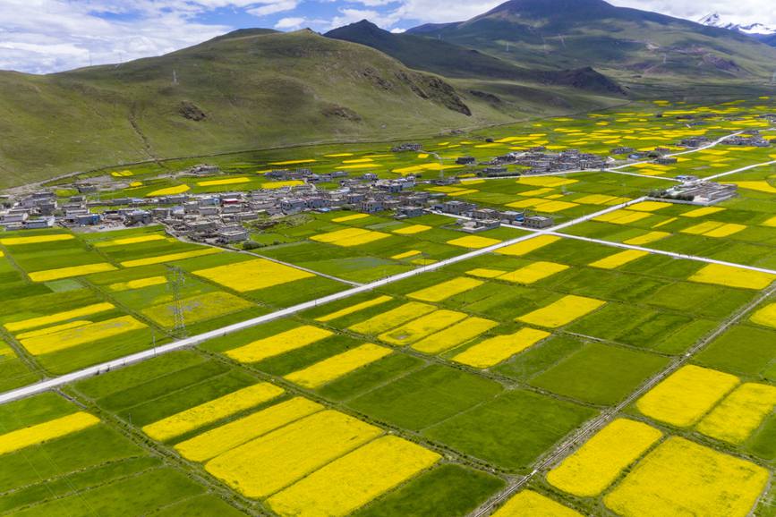 航拍道布龍村，依山傍水，阡陌縱橫。