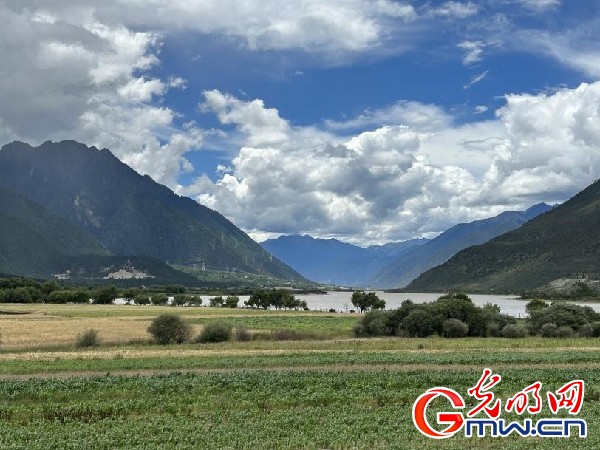 我們的家園｜林芝米林縣：河長護(hù)藥洲，碧水映花谷