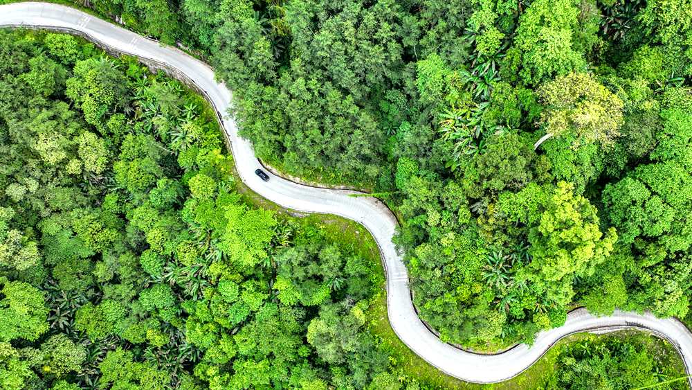 穿行于綠色間，生態(tài)優(yōu)良。張澤坤攝