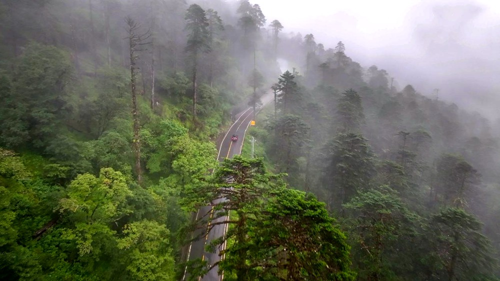 穿行于綠色間。張澤坤攝