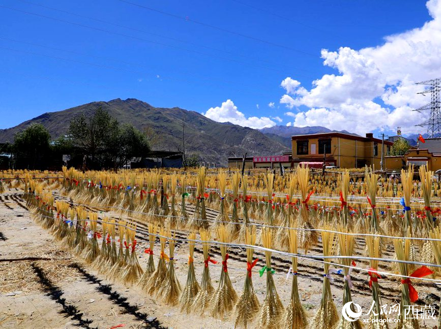 幸福生活曬出來(lái)。人民網(wǎng) 李海霞攝