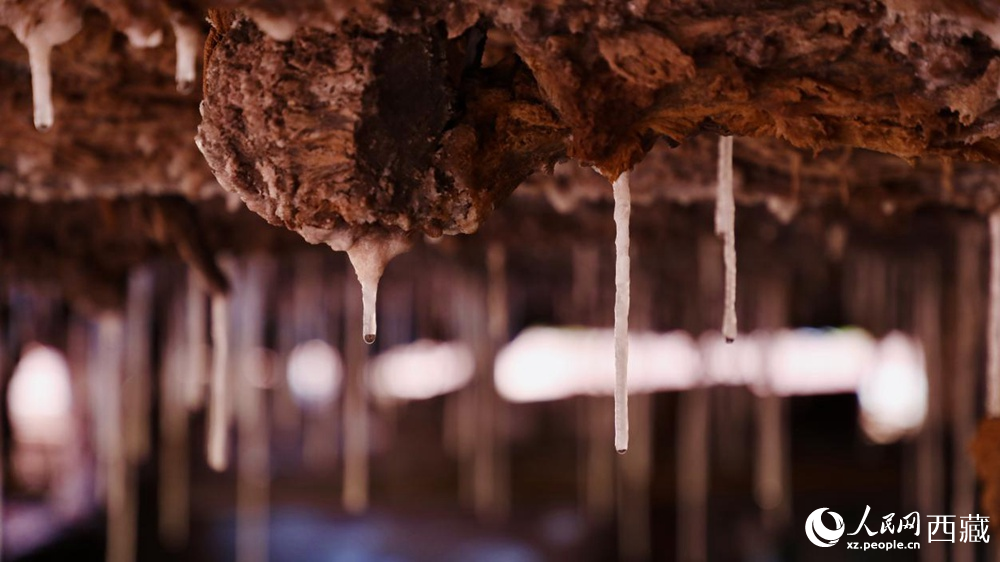 自然滲下的鹽柱結(jié)晶。人民網(wǎng)記者 次仁羅布攝