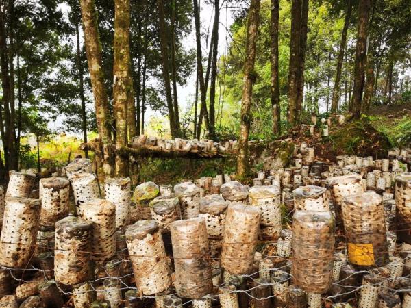 幾代建設(shè)者，歷經(jīng)半個(gè)多世紀(jì)完成！這是一條怎樣的公路？