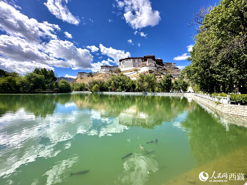 公園一角。