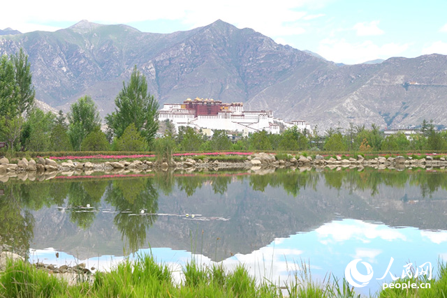雄偉的布達(dá)拉宮與綠意蔥蘢的南山隔河相望。人民網(wǎng)記者 劉凡攝