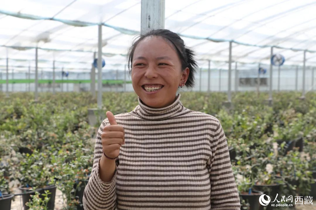 措姆品嘗自己精心照料的藍(lán)莓后，豎起了大拇指。次仁龍布攝