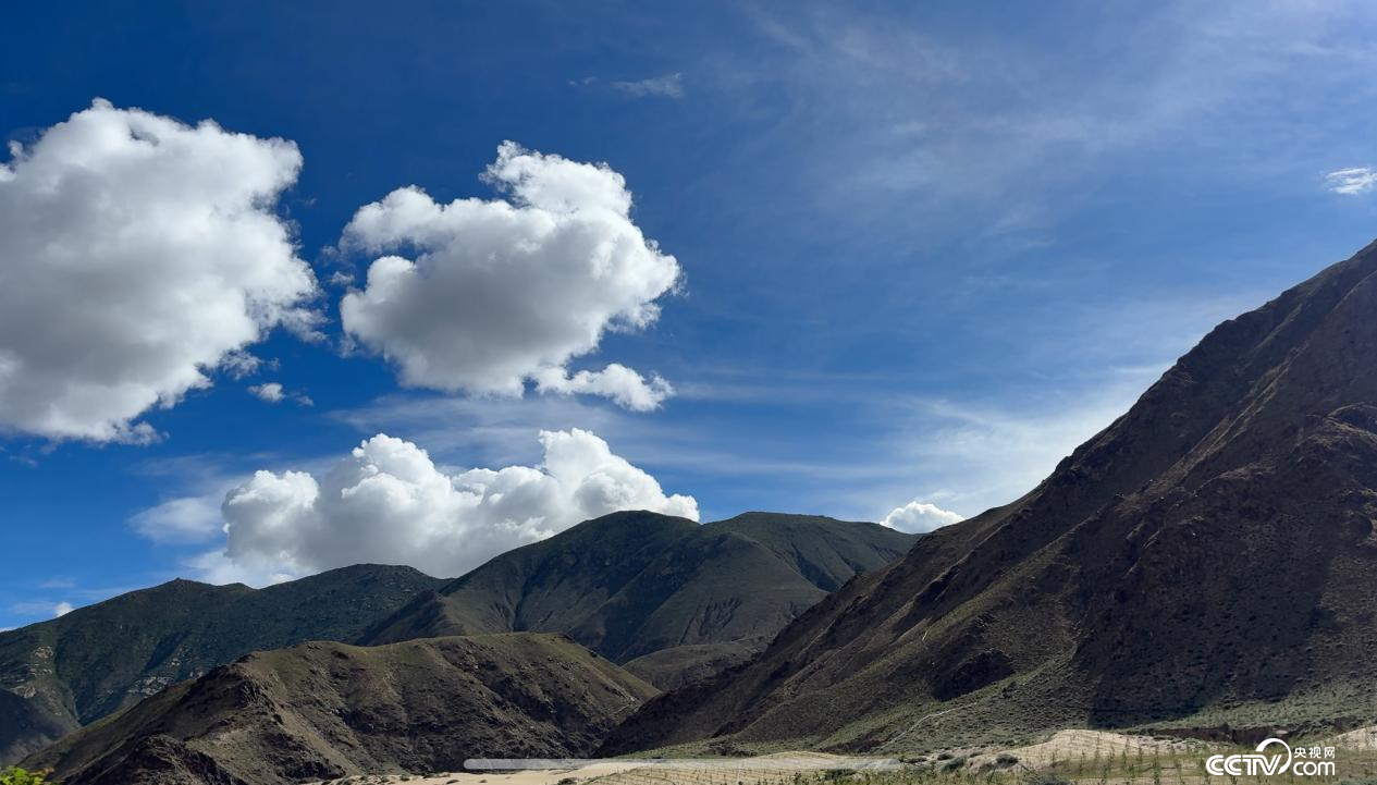 拉薩南北山綠化工程貢嘎段11號(hào)片區(qū)(攝影 李婷婷)