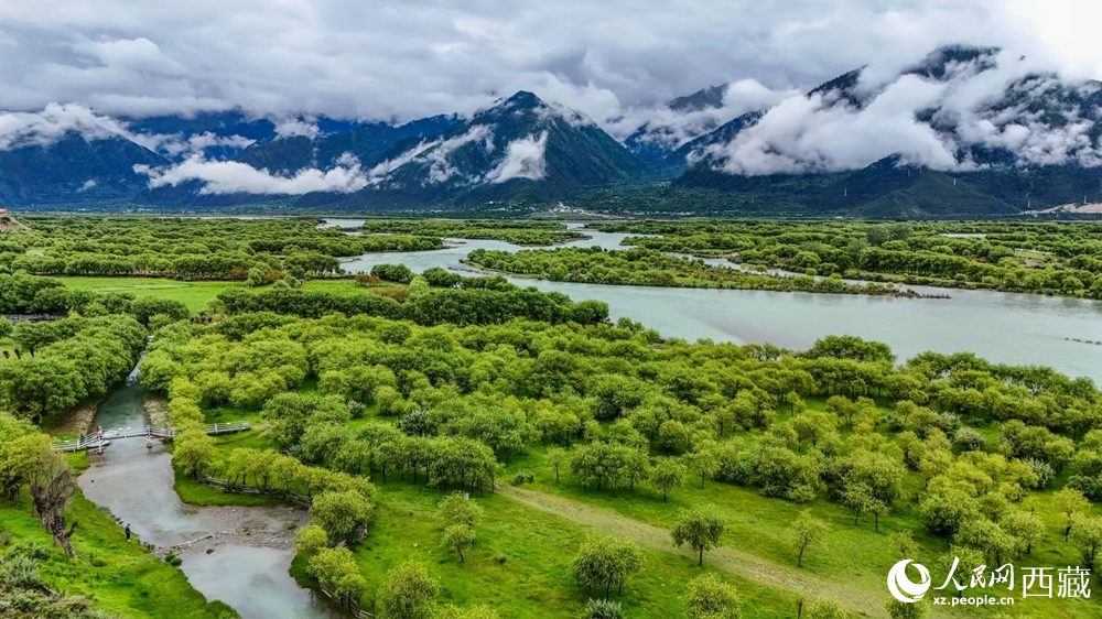 鳥瞰盛夏季節(jié)的雅尼濕地風(fēng)光。人民網(wǎng)記者 次仁羅布攝