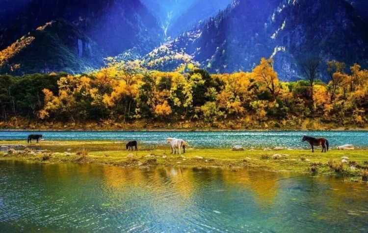 懂西藏的人，一定不會錯過林芝的秋天