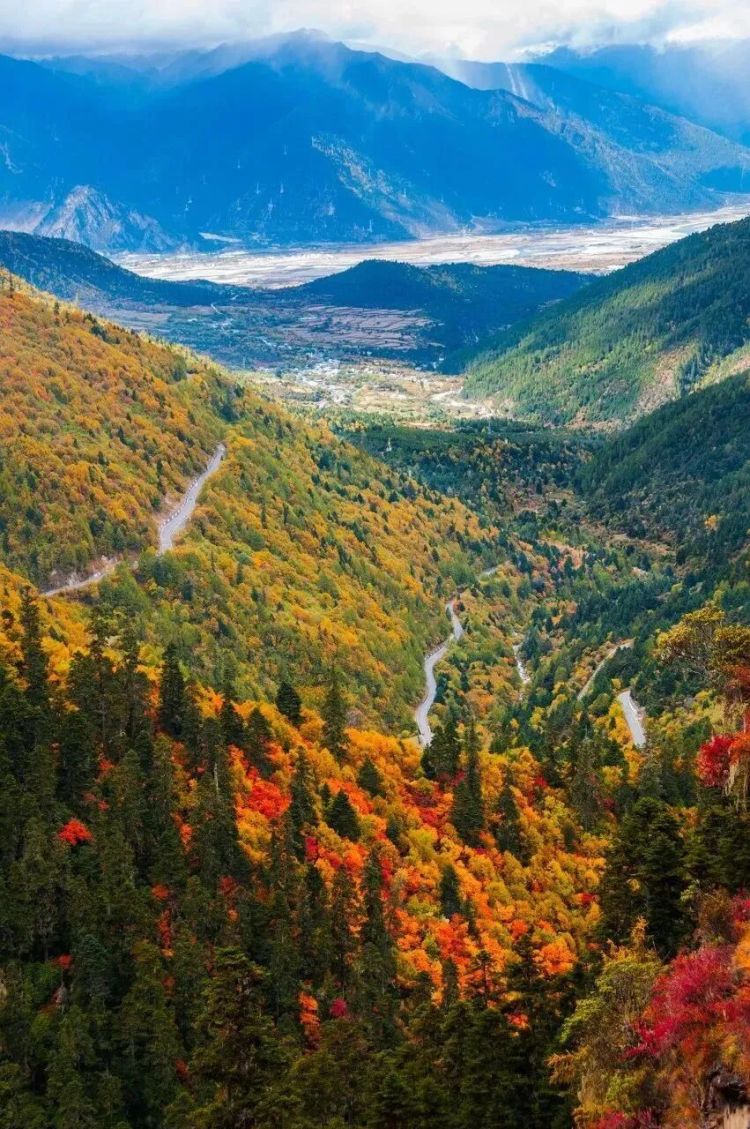 懂西藏的人，一定不會錯過林芝的秋天