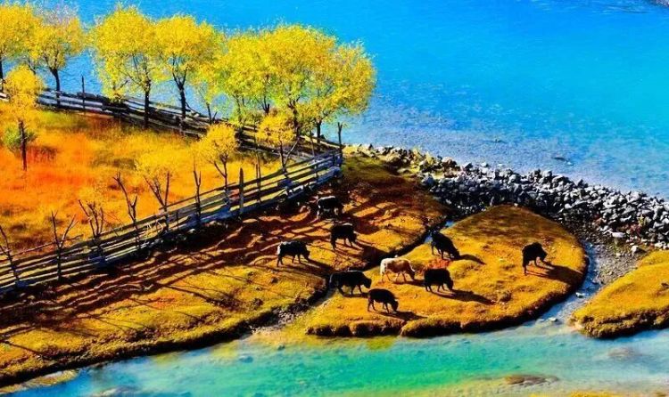 懂西藏的人，一定不會錯過林芝的秋天