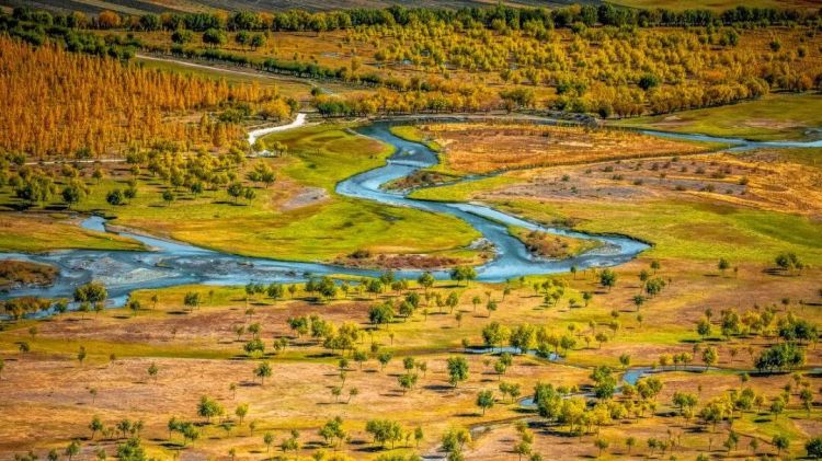 懂西藏的人，一定不會錯過林芝的秋天